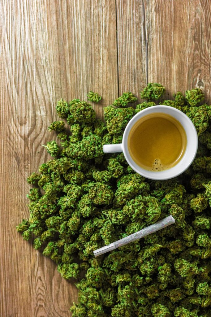 cbd, hemp, flower, field, cbd switzerland, 420, beautiful flowers, smoke weed, tincture, ganya, nature, superfood, cannabidiol, oil, weed, medicine, thc, herbs, flower wallpaper, flower background, green, naturally, medical, medicinal products, smoke